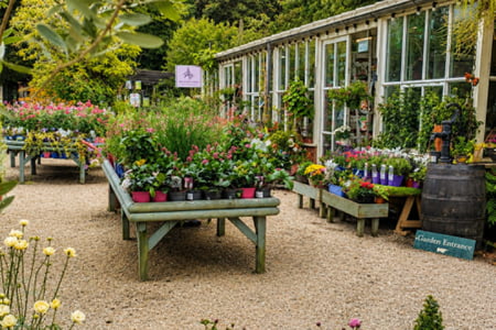 The Wild Garden garden centre in Wicklow