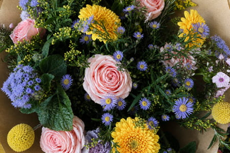 About The Wild Garden florist and garden centre in Wicklow