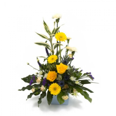 You're a Star - This Lovely front facing, modern style, Yellow and Blue arrangement is available for delivery. A local delivery cost is deducted from your overall total when purchasing. This is a symmetrical, stylized, and sleek design. Ready to display in any environment. Buy these gorgeous flowers as a gift or to treat yourself. This arrangement is made in a pot with floral foam meaning they are ready to go, so no extra care required! Just set down your gorgeous flowers and enjoy! Add a custom card messag...